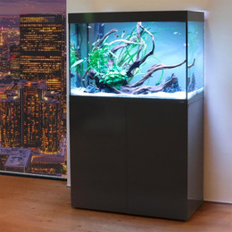 Produktbild von Amtra ALUX 220 LED Kombination Grau - 220 l