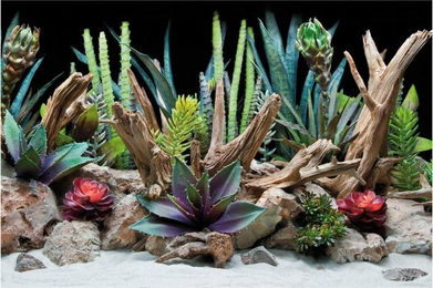 Amtra Fotorückwand Flora 60x30 cm – Bild 1 von 6