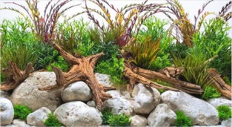 Amtra Fotorückwand River 60x30 cm – Bild 1 von 6