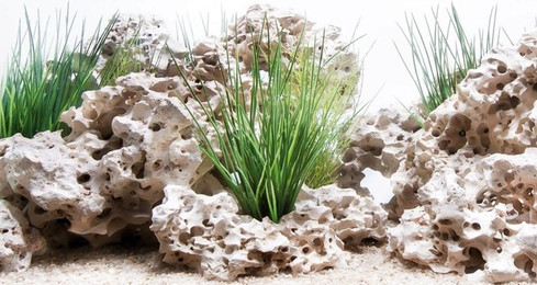 Produktbild von Amtra Fotorückwand Wonder 60x30 cm - 1 Stk.