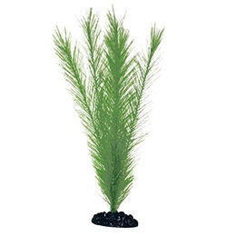 Produktbild von Amtra Kunststoff Aquariumpflanze Blyxa - 12cm