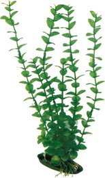 Produktbild von Amtra Kunststoff Aquariumpflanze Rotala - 12cm