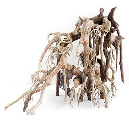 Amtra Oriental Wind 1 Holzdeko für Aquarien – Bild 1 von 3