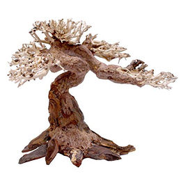 Amtra Oriental Wind 5 Holzdeko für Aquarium – Bild 1 von 3