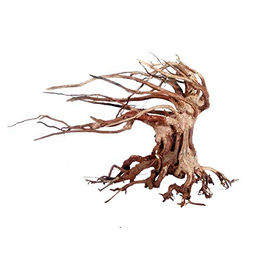 Amtra Oriental Wind 6 Holzdeko für Aquarien – Bild 1 von 3