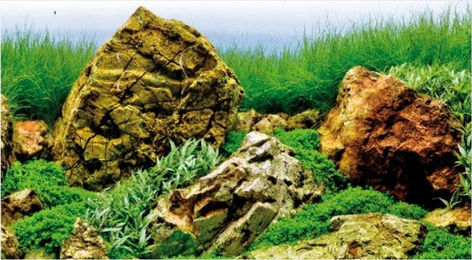 Amtra Rückwandfolie Vision 45 x 100 cm - 45 cm – Bild 1 von 3