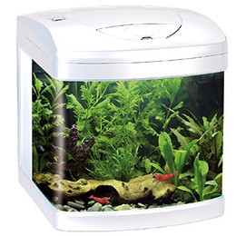 Produktbild von Amtra XCUBE Aquarium 26 Liter mit LED-Beleuchtung - 26 l