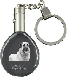 Produktbild von Anatolian Shepherd Dog, Turkish Kangal Dog - pendant with a photo of a dog, crystal key ring in a gift box, a unique gift by Art-Dog transparent