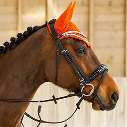 Anatomisch geformte Reittrense Horze Grayson – Bild 1 von 3