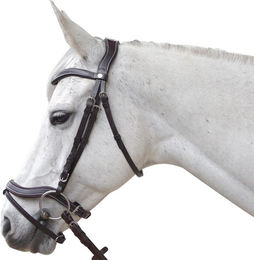 Produktbild von Anatomisch geformte Reitzäume Canter Baloubet