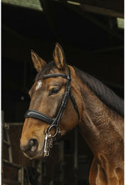 Produktbild von Anatomisch geformte Reitzäume Norton Basal