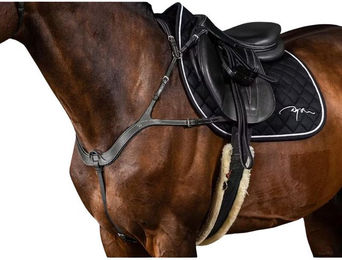 Produktbild von Anatomisch geformtes Jagdhalsband für Pferde Dy'on