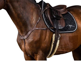 Produktbild von Anatomisch geformtes Jagdhalsband für Pferde Dy'on