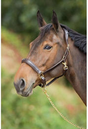 Produktbild von Anatomisch geformtes Lederhalfter für Pferde HFI