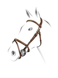 Produktbild von Anatomische Lederzügel für Pferde mit Clincher Equestro