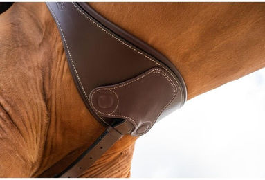 Produktbild von Anatomische Reitbügelschnalle mit Magneten HFI