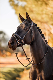 Produktbild von Anatomischer Trensenzaum Horze Lockhart