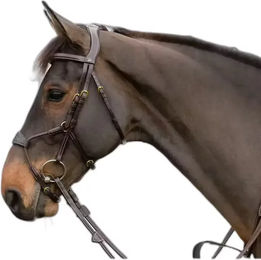 Produktbild von Anatomisches elastisches Kombinationsgebiss für Pferde Dy'on Hybride