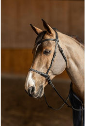 Produktbild von Anatomisches Gebissloses Reithalfter HFI Freedom