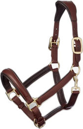 Anatomisches Halfter LeMieux – Bild 1 von 2