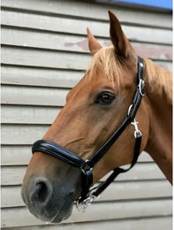 Produktbild von Anatomisches Halfter Norton Pro