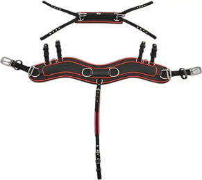 Produktbild von Anatomisches Pferdegeschirr Lexhis Hanover