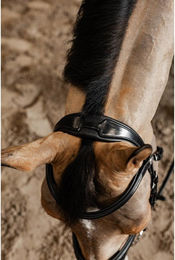 Produktbild von Anatomisches Zughalfter für Pferde HFI Pro Line Verona