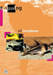 Produktbild von Animalbook All Corydoras - 1 Stk