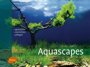 Produktbild von Animalbook Aquascapes - 1 Stk