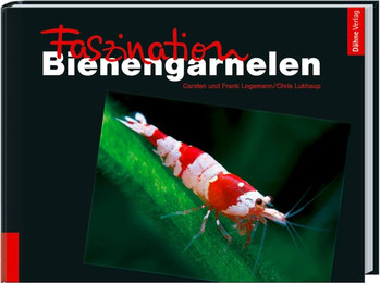 Produktbild von Animalbook Faszination Bienengarnelen - 1 Stk