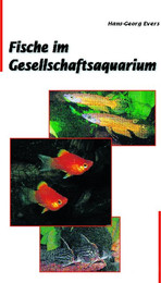 Produktbild von Animalbook Fische im Gesellschaftsaquarium - 1 Stk