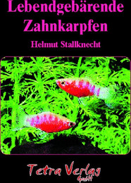 Produktbild von Animalbook Lebendgebärende Zahnkarpfen - 1 Stk