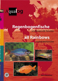 Produktbild von Animalbook Regenbogenfische und verwandte Familien - 1 Stk.