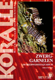 Produktbild von Animalbook Zwerggarnelen im Meerwasseraquarium - 1 Stk