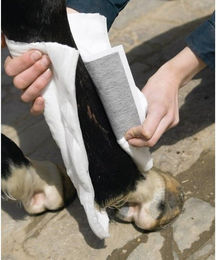 Produktbild von Animalintex Wundverband 40cm x 20cm