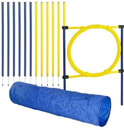 Produktbild von AniOne Agility Set