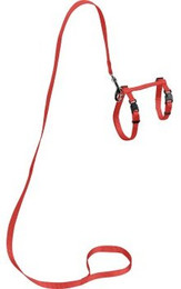 Produktbild von AniOne Katzengeschirr mit Leine für große Katzen rot