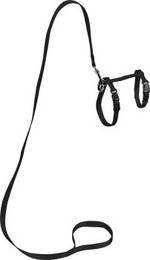 Produktbild von AniOne Katzengeschirr mit Leine für große Katzen schwarz