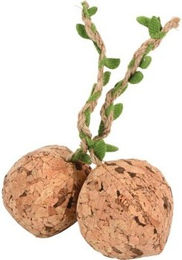 Produktbild von AniOne Kork Bälle mit Rassel - 2 x 5 cm