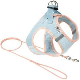 Produktbild von AniOne Pepe&Kitty Welpenset blau & apricot S