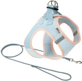 Produktbild von AniOne Pepe&Kitty Welpenset blau XXXS