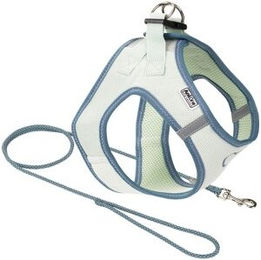 Produktbild von AniOne Pepe&Kitty Welpenset grün & blau S