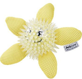 Produktbild von AniOne Wasserspielzeug Seestern S-M