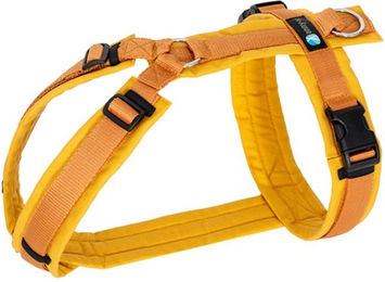 annyx Brustgeschirr Fun Goldglöckchen XS – Bild 1 von 6