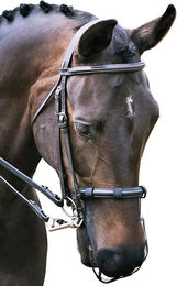 Produktbild von Anti-Zensus-Nasenschutz Equilibrium