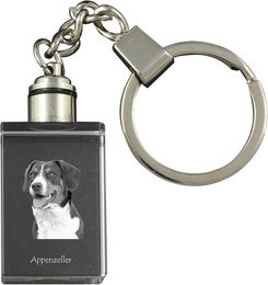 Produktbild von Appenzeller Sennenhund, Appenzeller Sennenhund - Kristall-Schlüsselanhänger mit Hundefoto, beleuchteter Schlüsselanhänger, einzigartiges Geschenk der Marke Art-Dog transparent