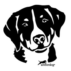 Produktbild von Appenzeller Sennenhund Kopf Auto Wohnmobil Aufkleber