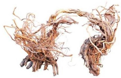 Produktbild von Aqua-Deko Wurzel Aquavie Curlivigne Extra V1