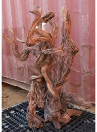 Produktbild von Aqua-Deko Wurzel Aquavie Curlivigne Extra V3