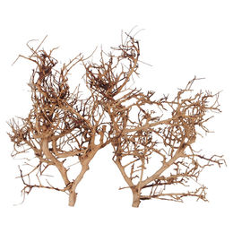 Produktbild von Aqua Della Aquarium Dekoration Thailand Zweig braun Größe L
